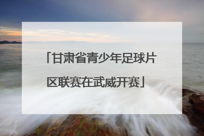 甘肃省青少年足球片区联赛在武威开赛