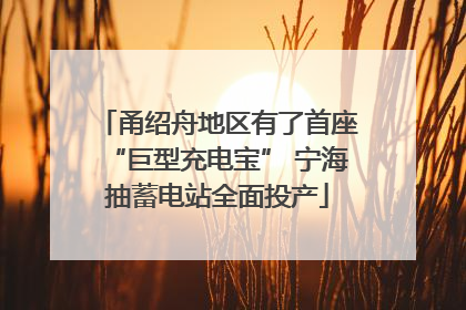 甬绍舟地区有了首座“巨型充电宝” 宁海抽蓄电站全面投产