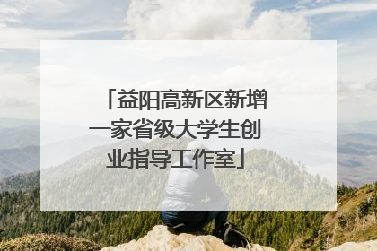 益阳高新区新增一家省级大学生创业指导工作室