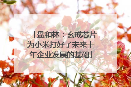 盘和林：玄戒芯片为小米打好了未来十年企业发展的基础