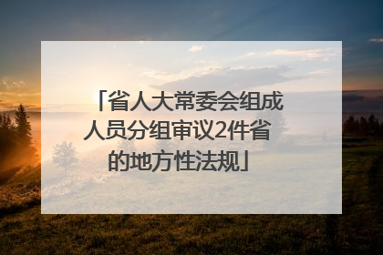 省人大常委会组成人员分组审议2件省的地方性法规