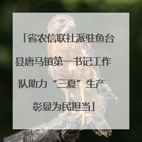 省农信联社派驻鱼台县唐马镇第一书记工作队助力“三夏”生产 彰显为民担当