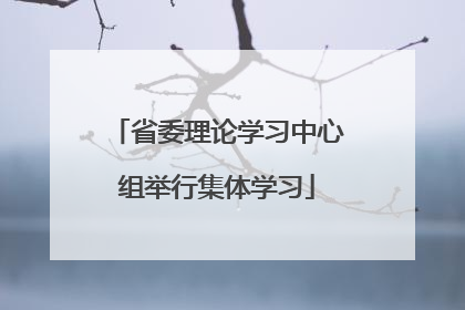 省委理论学习中心组举行集体学习