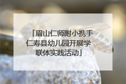眉山仁师附小携手仁寿县幼儿园开展学联体实践活动