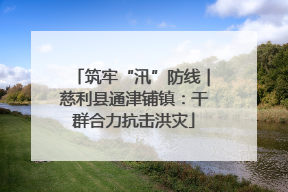 筑牢“汛”防线｜慈利县通津铺镇：干群合力抗击洪灾