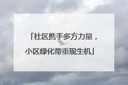 社区携手多方力量，小区绿化带重现生机