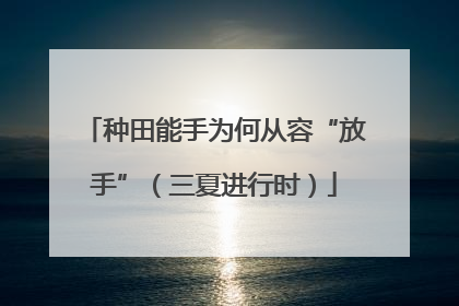 种田能手为何从容“放手”（三夏进行时）