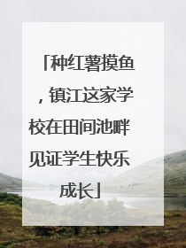 种红薯摸鱼，镇江这家学校在田间池畔见证学生快乐成长