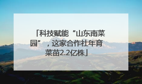 科技赋能“山东南菜园”，这家合作社年育菜苗2.2亿株