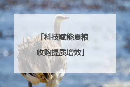 科技赋能夏粮收购提质增效