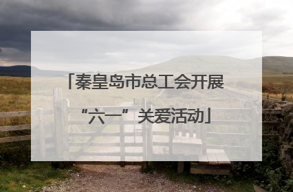 秦皇岛市总工会开展“六一”关爱活动