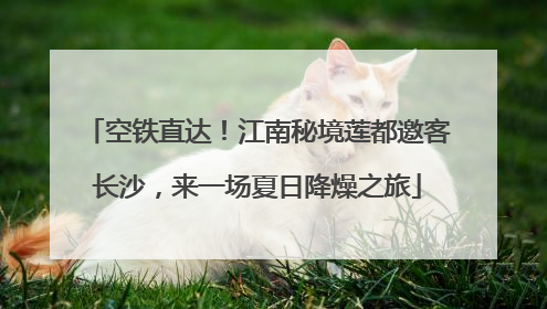 空铁直达！江南秘境莲都邀客长沙，来一场夏日降燥之旅