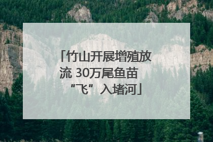 竹山开展增殖放流 30万尾鱼苗“飞”入堵河