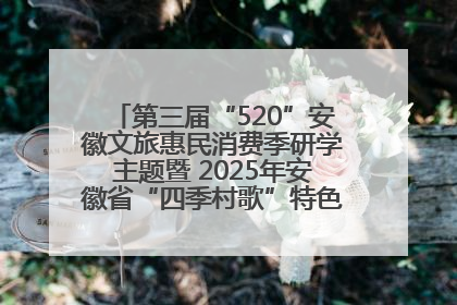 第三届“520”安徽文旅惠民消费季研学主题暨 2025年安徽省“四季村歌”特色展演燃动池州