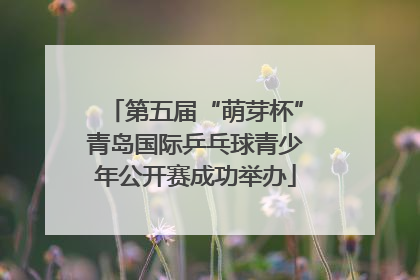 第五届“萌芽杯”青岛国际乒乓球青少年公开赛成功举办