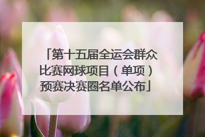 第十五届全运会群众比赛网球项目（单项）预赛决赛圈名单公布
