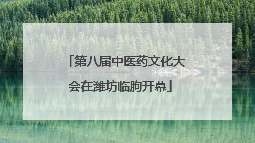 第八届中医药文化大会在潍坊临朐开幕