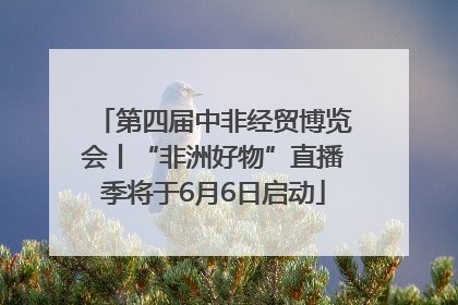 第四届中非经贸博览会丨“非洲好物”直播季将于6月6日启动