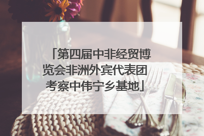 第四届中非经贸博览会非洲外宾代表团考察中伟宁乡基地