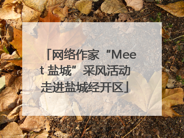 网络作家“Meet 盐城”采风活动走进盐城经开区