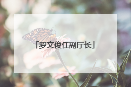 罗文俊任副厅长