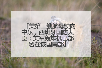 美第三艘航母驶向中东，西班牙国防大臣：美军轰炸机已部署在该国南部