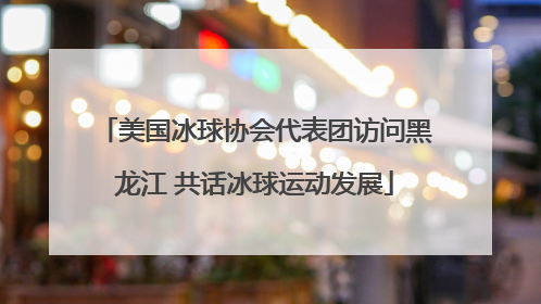 美国冰球协会代表团访问黑龙江 共话冰球运动发展