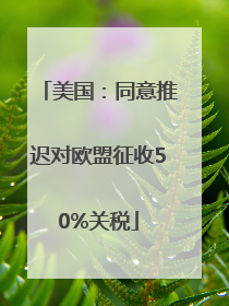 美国：同意推迟对欧盟征收50%关税