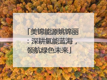 美锦能源姚锦丽：深耕氢能蓝海，领航绿色未来
