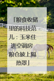 粮食收储里的科技范儿：玉米住进空调房 粮仓披上隔热罩