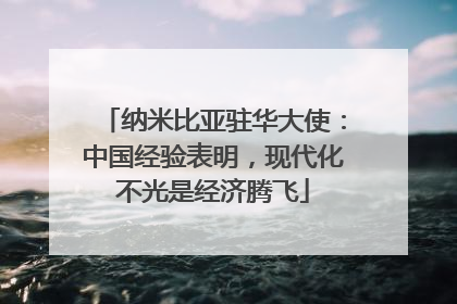 纳米比亚驻华大使：中国经验表明，现代化不光是经济腾飞