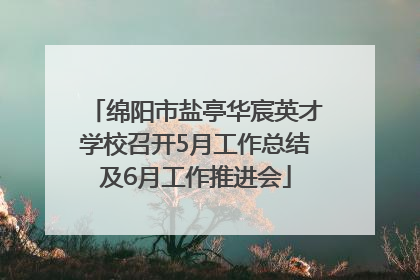 绵阳市盐亭华宸英才学校召开5月工作总结及6月工作推进会