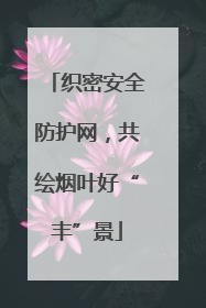 织密安全防护网，共绘烟叶好“丰”景