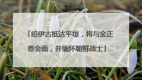 绍伊古抵达平壤，将与金正恩会面，并缅怀朝鲜战士