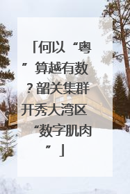 何以“粤”算越有数？韶关集群开秀大湾区“数字肌肉”