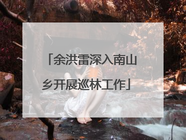 余洪雷深入南山乡开展巡林工作