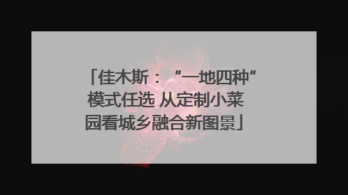 佳木斯：“一地四种” 模式任选 从定制小菜园看城乡融合新图景