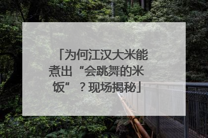 为何江汉大米能煮出“会跳舞的米饭”？现场揭秘