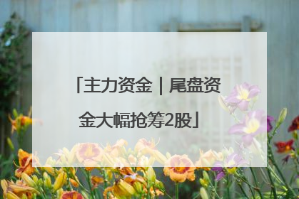 主力资金｜尾盘资金大幅抢筹2股
