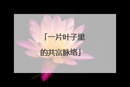 一片叶子里的共富脉络