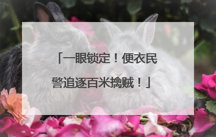 一眼锁定！便衣民警追逐百米擒贼！