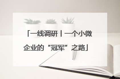 一线调研丨一个小微企业的“冠军”之路