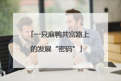 一只麻鸭共富路上的发展“密码”