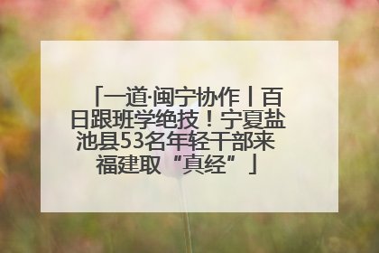 一道·闽宁协作丨百日跟班学绝技！宁夏盐池县53名年轻干部来福建取“真经”