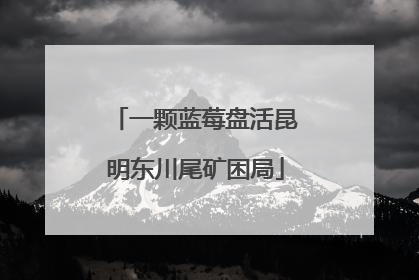 一颗蓝莓盘活昆明东川尾矿困局