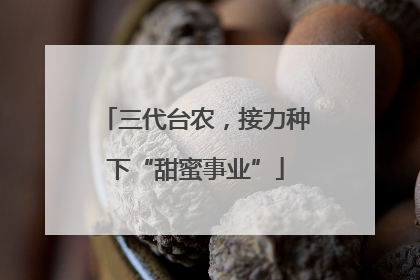 三代台农，接力种下“甜蜜事业”