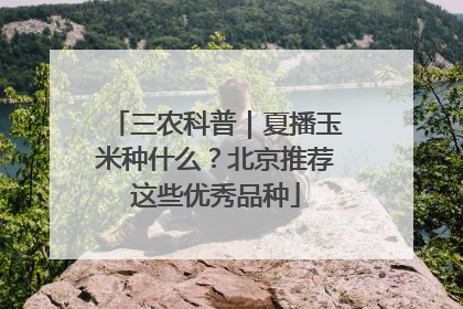 三农科普｜夏播玉米种什么？北京推荐这些优秀品种