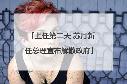 上任第二天 苏丹新任总理宣布解散政府
