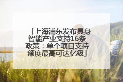 上海浦东发布具身智能产业支持16条政策：单个项目支持额度最高可达亿级