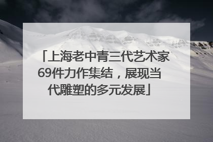 上海老中青三代艺术家69件力作集结，展现当代雕塑的多元发展